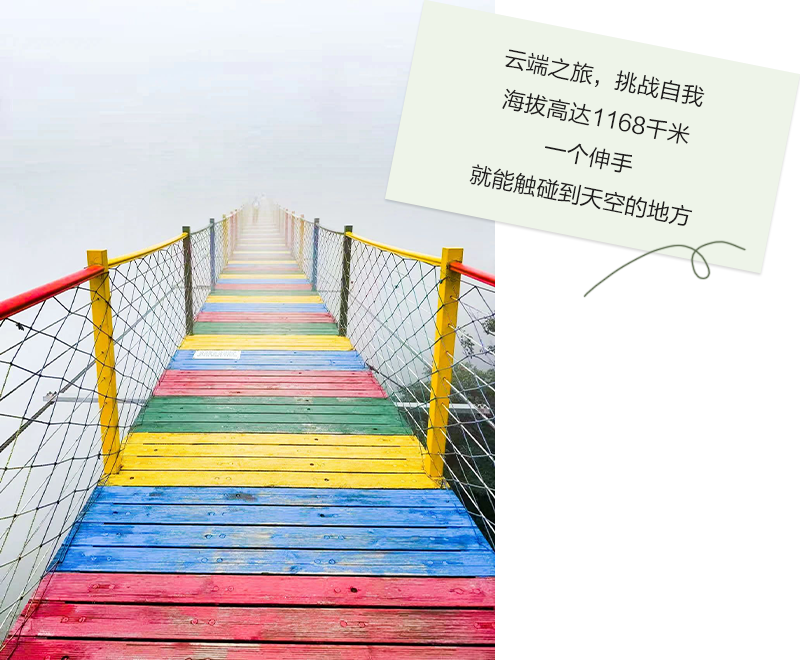 1754033068895806.png 5.png